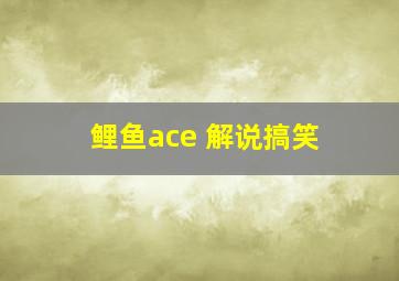 鲤鱼ace 解说搞笑